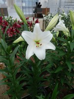 [5600 VH30 No01.JPG]